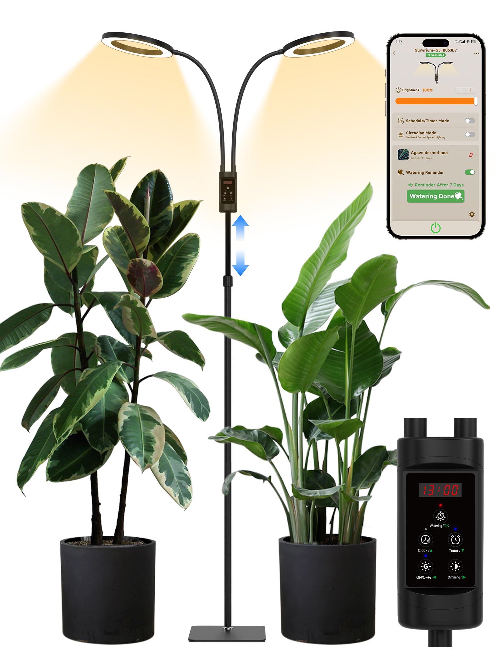 Glowrium height-extended grow light supports tall plants with adjustable reach.