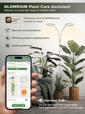 GLOWRIUM two-year warranty with complete kit offers peace of mind