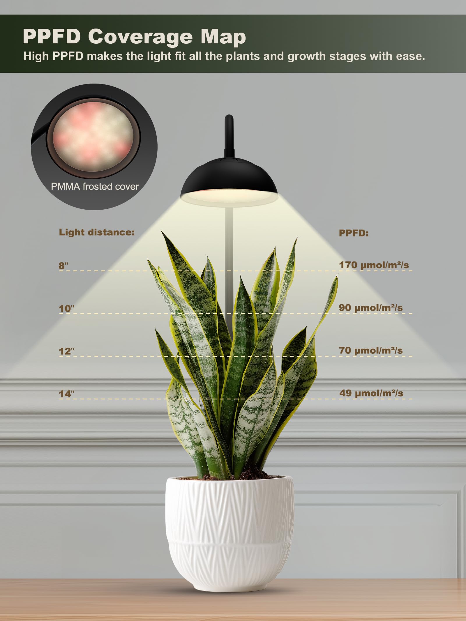 GLOWRIUM 170 PPFD at 8 inches supports diverse indoor plants.
