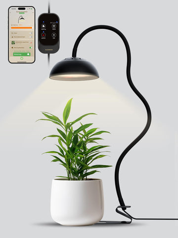 GLOWRIUM Smart Grow Light 360° gooseneck for precise, adjustable indoor plant illumination.