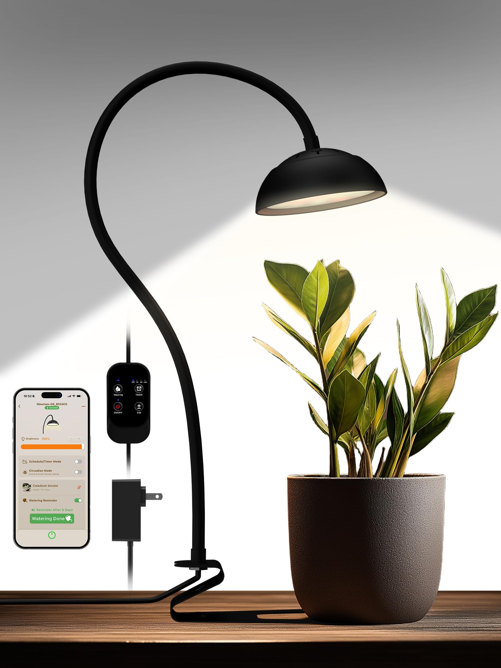 GLOWRIUM Smart Grow Light full spectrum LEDs for vibrant indoor plant growth