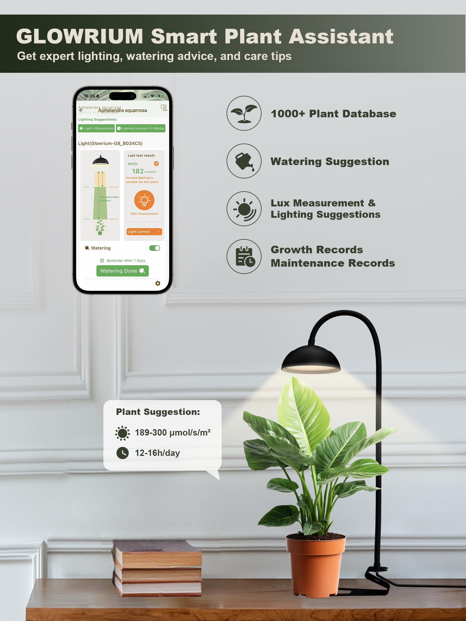 GLOWRIUM Sun-Sync mode mimics daylight for steady plant rhythms.