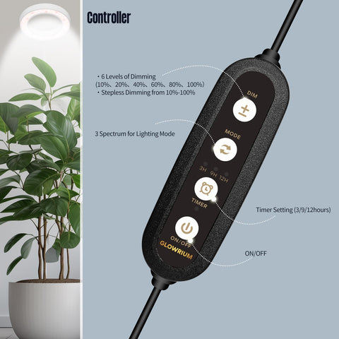 GLOWRIUM timer modes automate daily lighting for convenience.