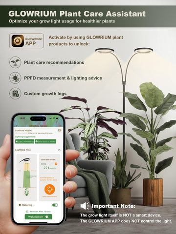 GLOWRIUM two-year warranty kit offers peace of mind.