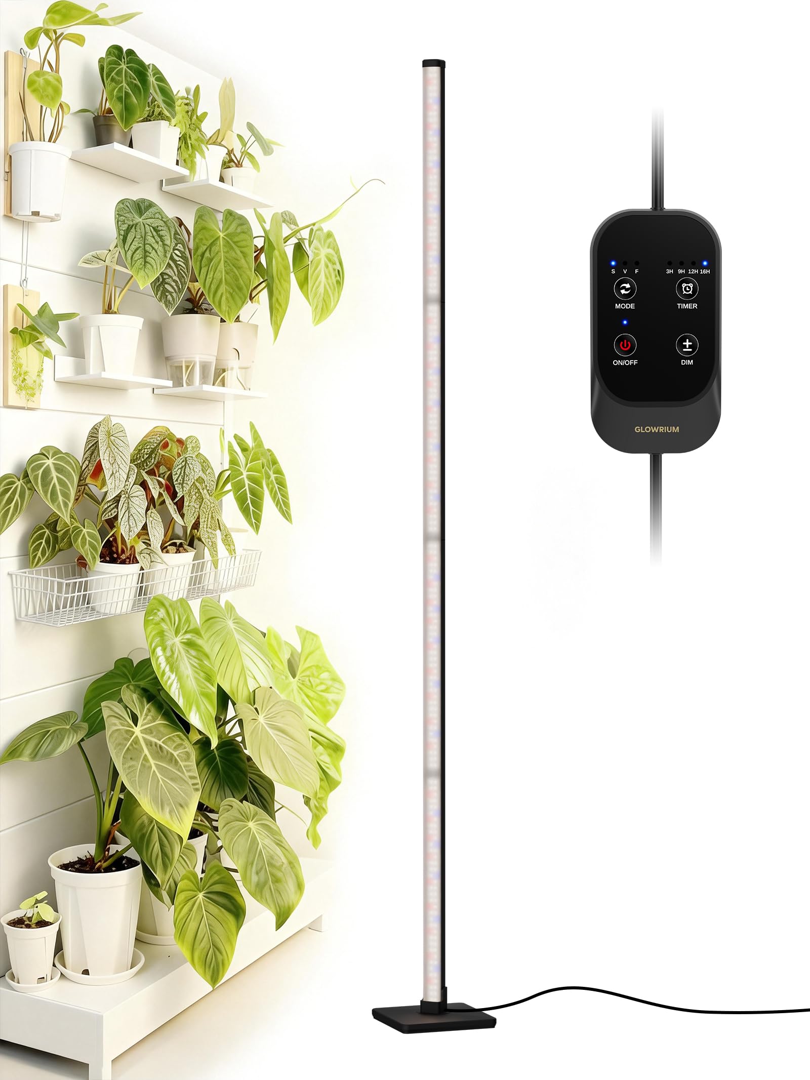 GLOWRIUM vertical grow light installed for even plant coverage.