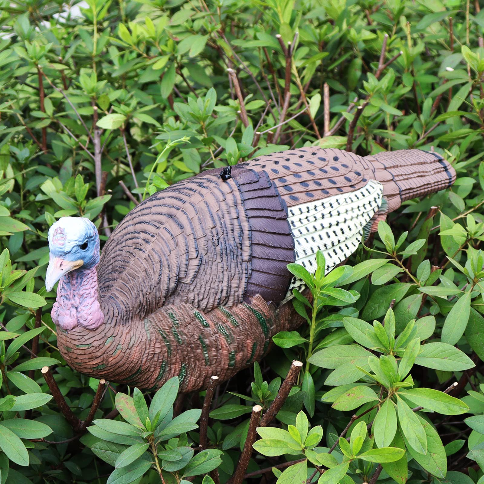 GLOWYE hen turkey decoy realistic pose with detailed feather texture