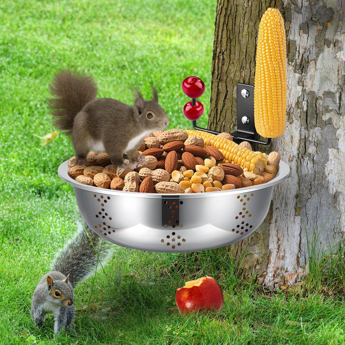 Gnodry squirrel feeder with an 8.5-inch bowl for easy backyard feeding.