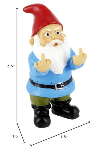 Gnometastic gift-ready packaging gnome, ready to surprise a friend.