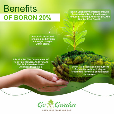 Go Garden Boron in drip irrigation delivering targeted nutrients to roots.