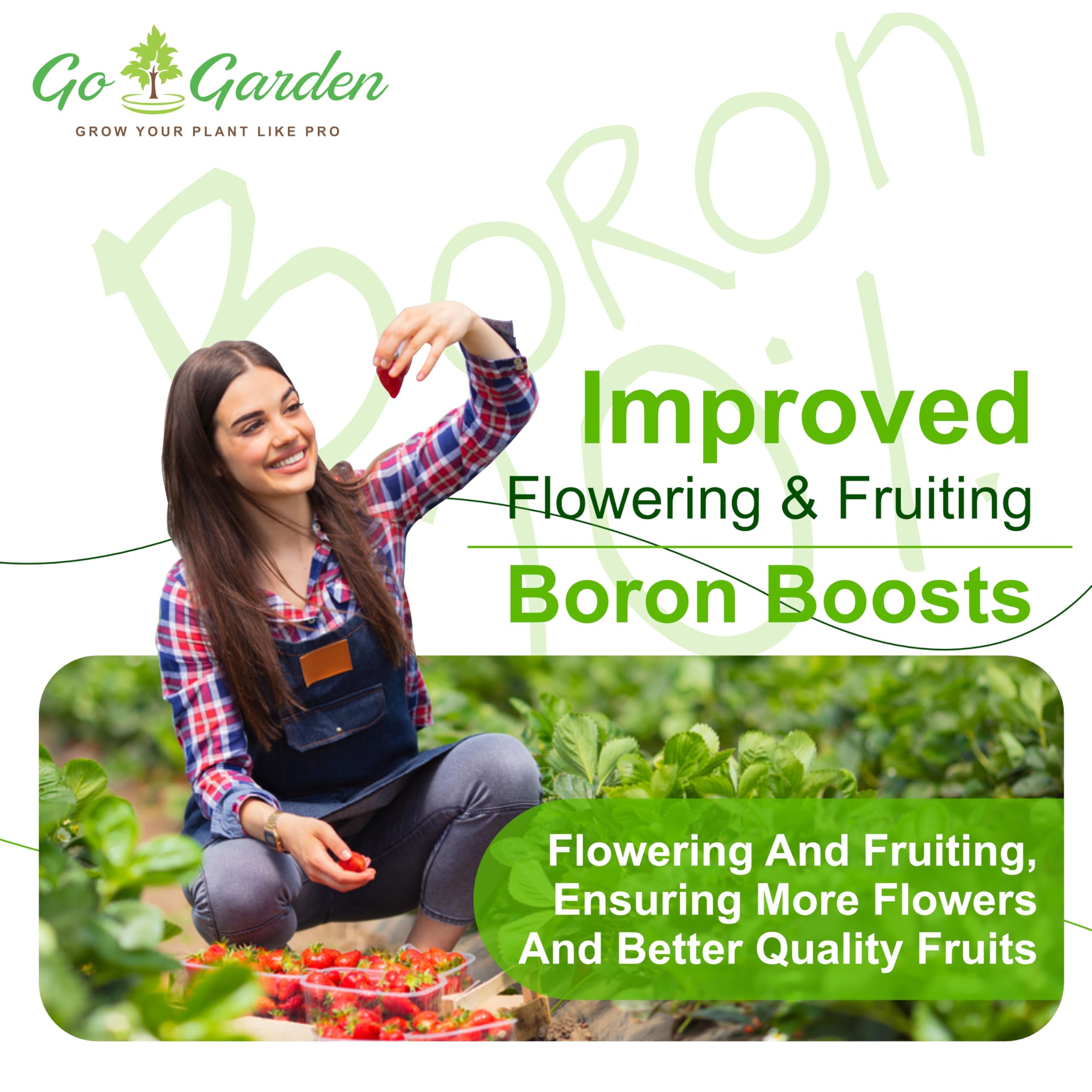 Go Garden Boron foliar spray on leaves providing balanced nutrition across the canopy.