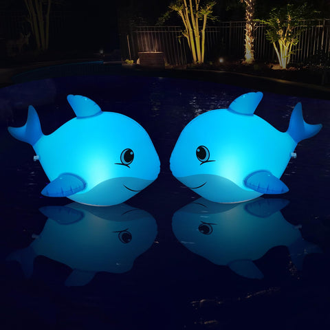 Goallim dolphin light captures sunrise glow on pool surface