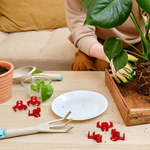 Goaste clips suit tomatoes, flowers, herbs, and vines for training.