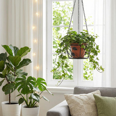 Goaste indoor outdoor plant decor for patios and interiors