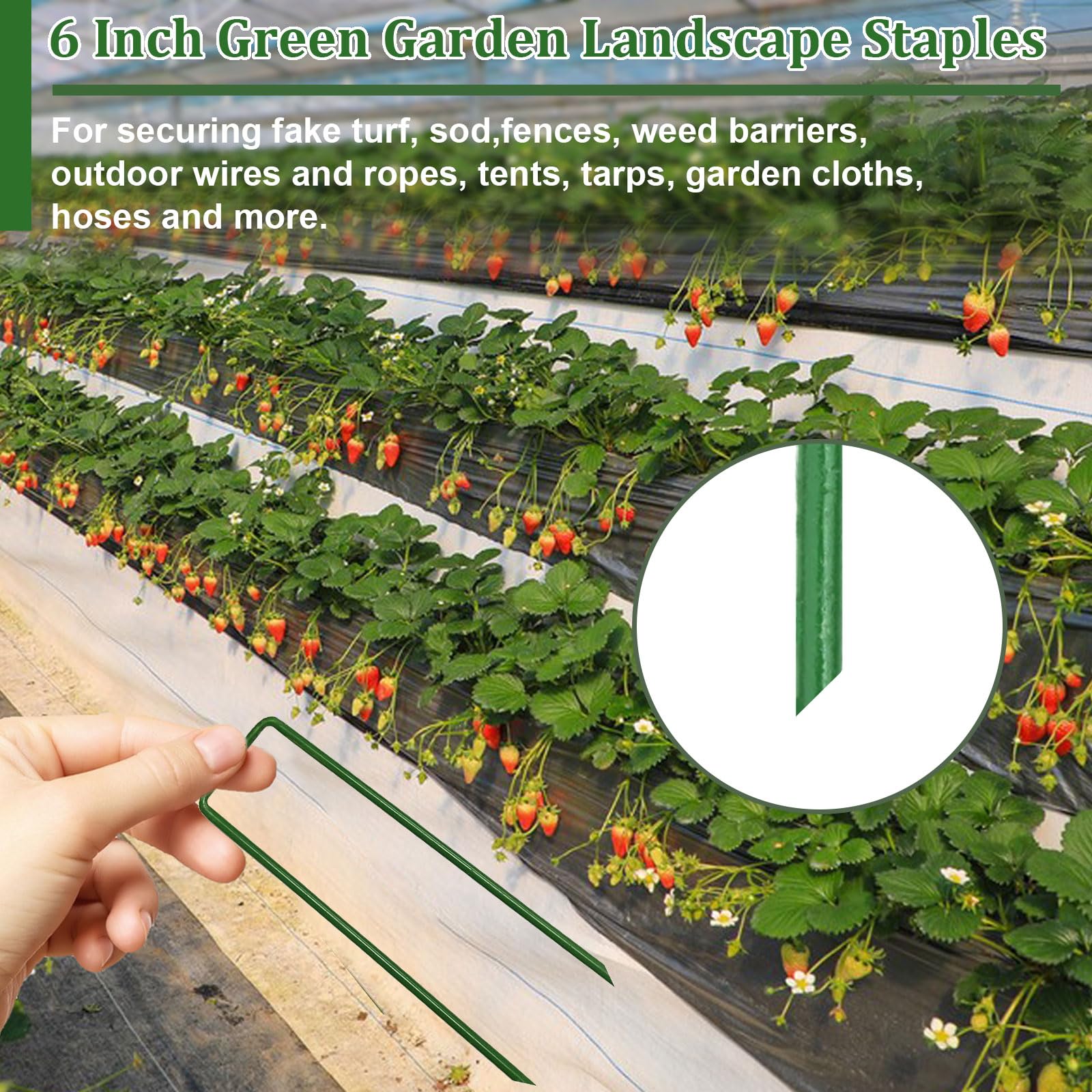 Goboloto multiuse stakes stabilize fencing, plastic sheeting, and tarps across projects.