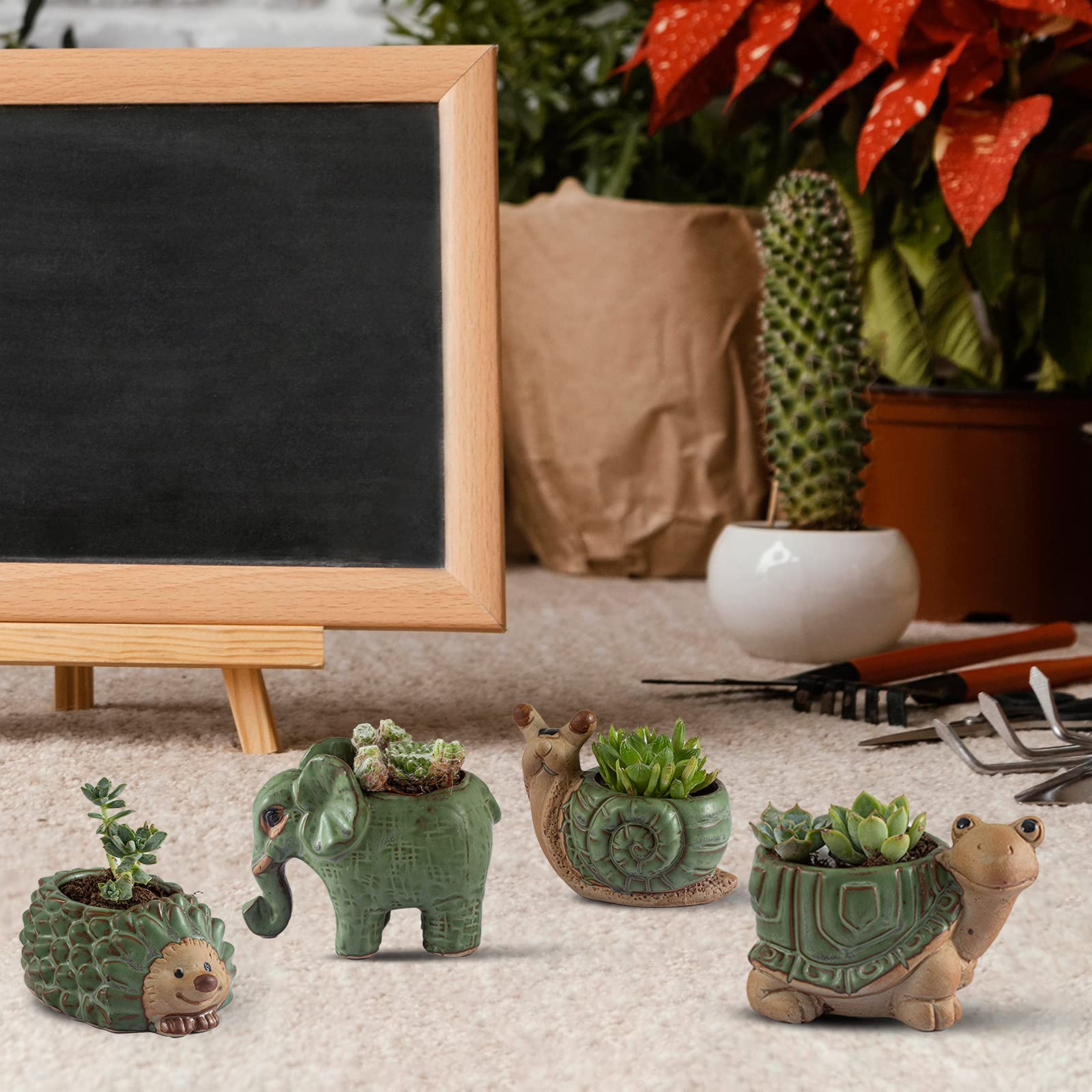 Godealio gift-ready plant pots set for birthdays, housewarmings, and holidays.