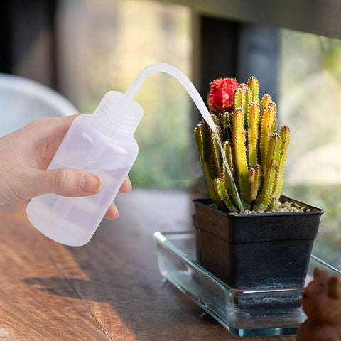 Godehone 250ml watering bottle for gentle, consistent succulent watering.