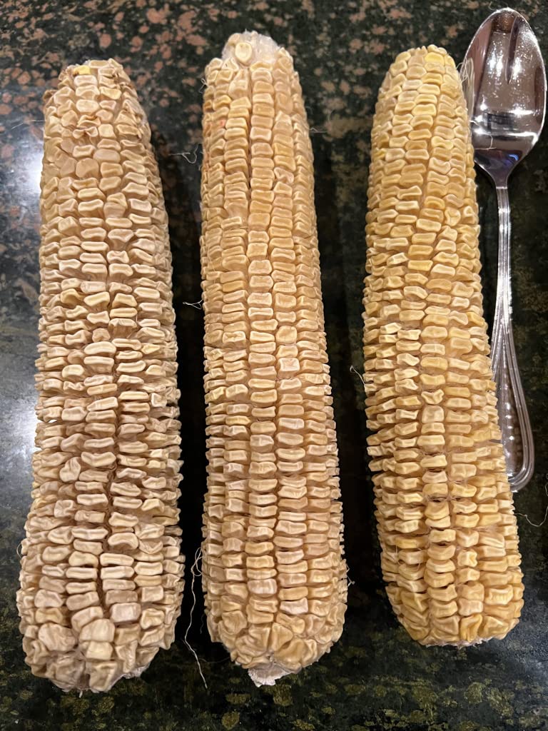 God's! Harvest-ready sweet cob highlights premium flavor and immediate dining possibilities