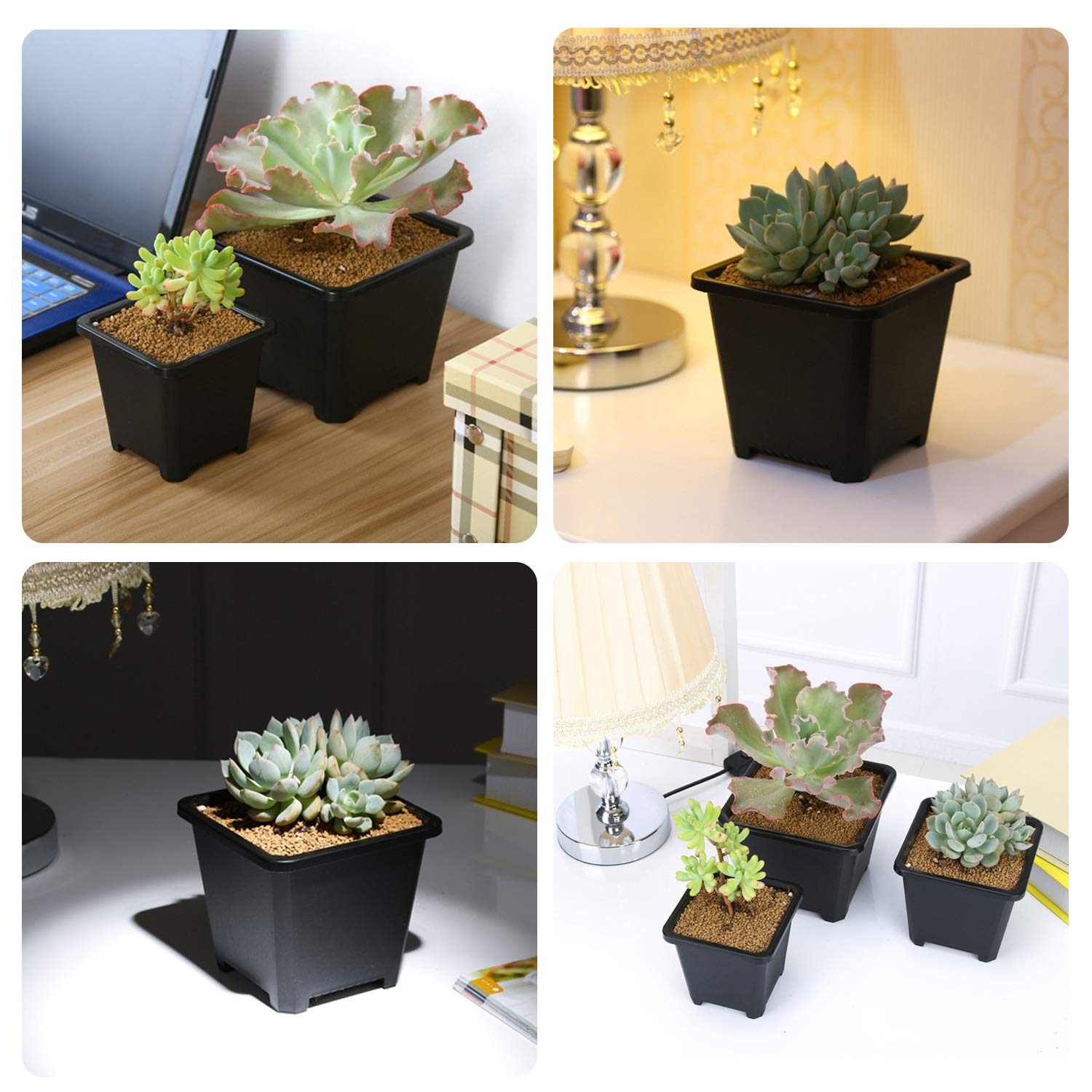 GOETOR sturdy PP nursery pot 2.2 inch, ideal for starting succulents.