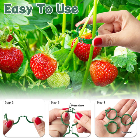 GOFULLHOME stem-fix clip stabilizing plant stems to prevent breakage.