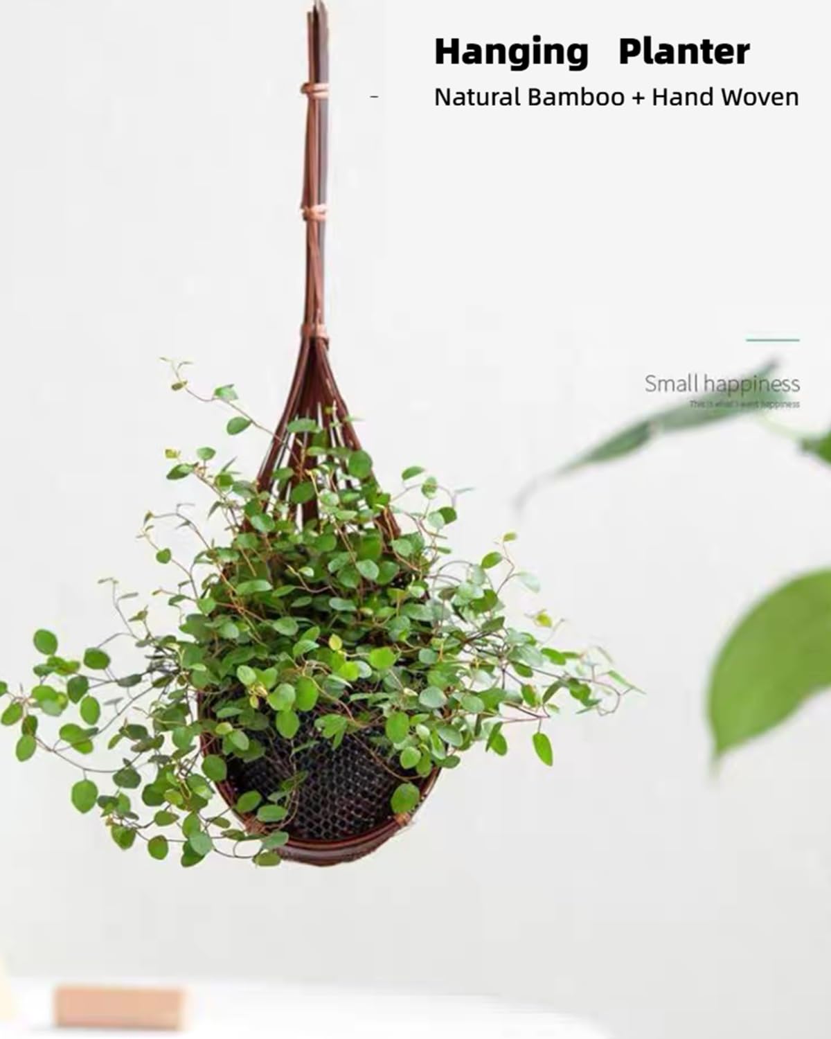 Gogeffor bamboo wall planter with 4-inch pot fits indoor walls.