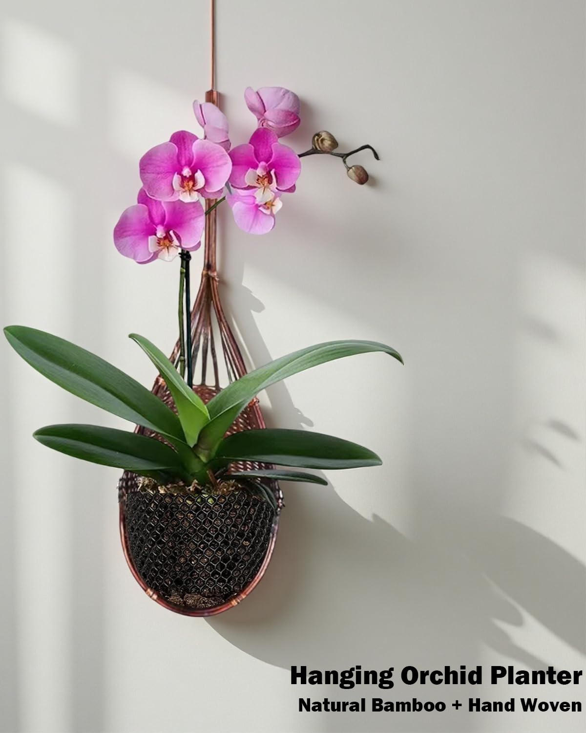 Gogeffor bamboo wall planter bottom mesh for versatile plant display.