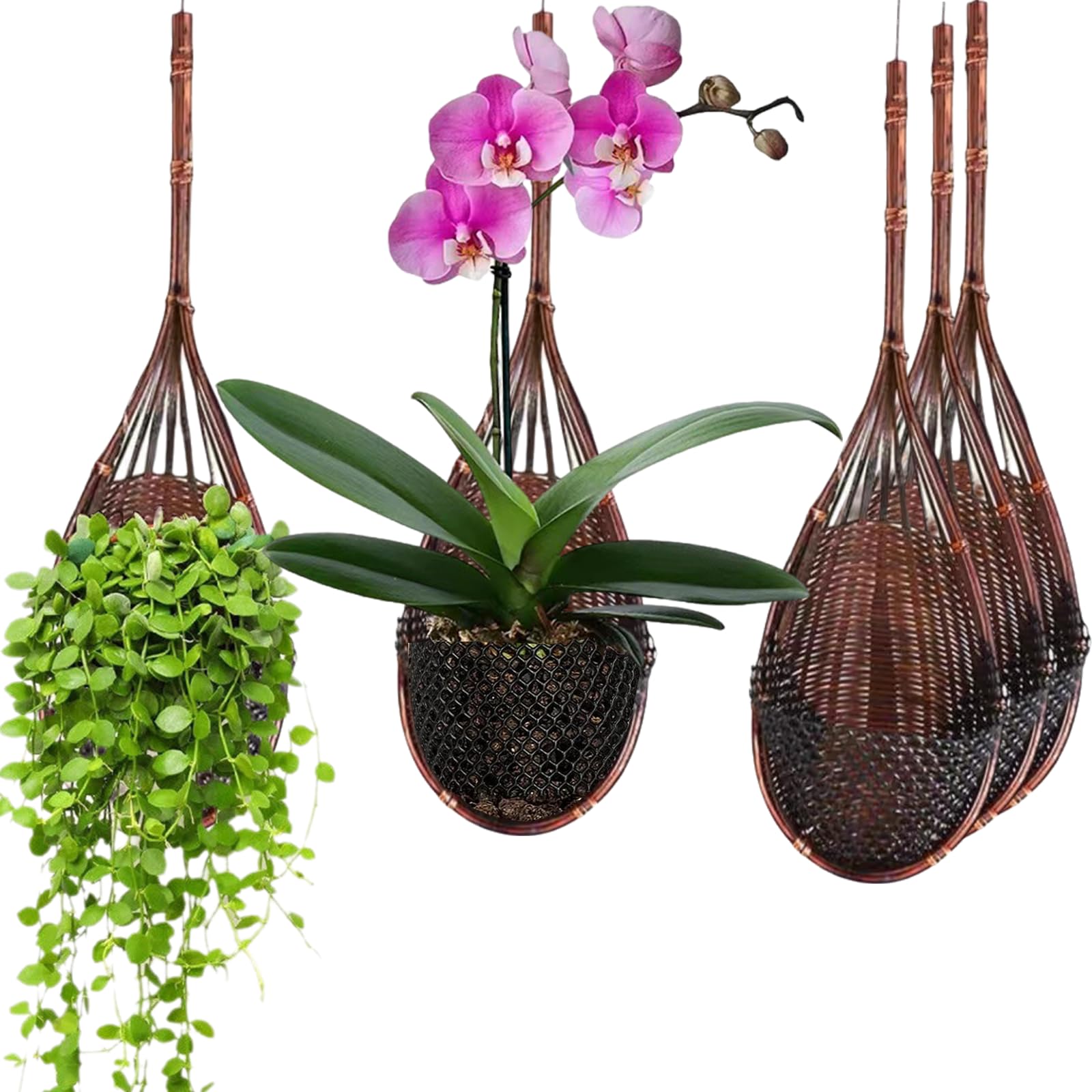 Gogeffor hanging orchid planter with natural bamboo basket for stylish indoor decor.