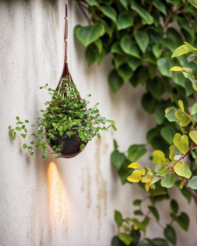 Gogeffor indoor plant decor adds natural texture to living spaces.