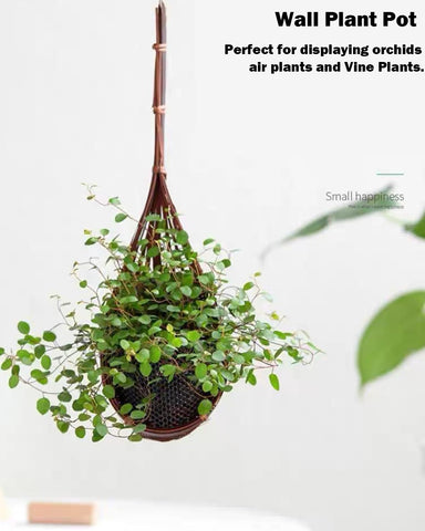 Gogeffor ladle-shaped bamboo planter adds organic texture to interior walls.