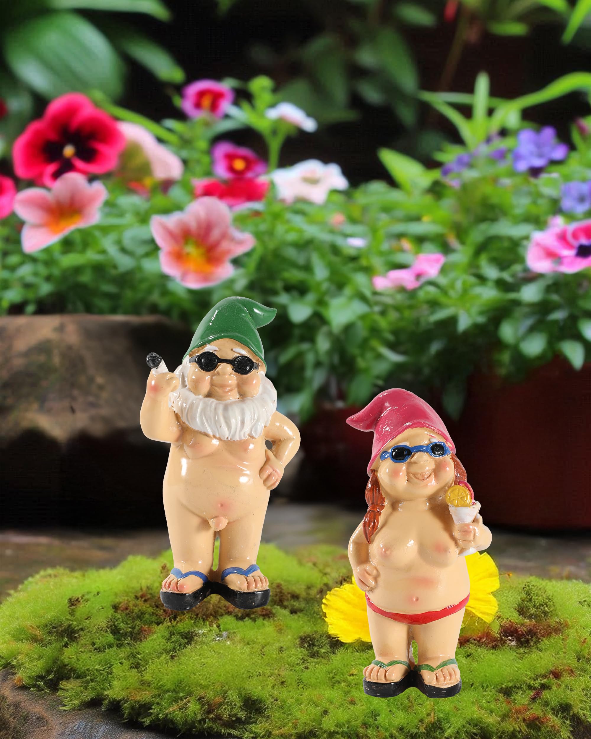 GoGnome vibrant-color garden display enhances outdoor corners.