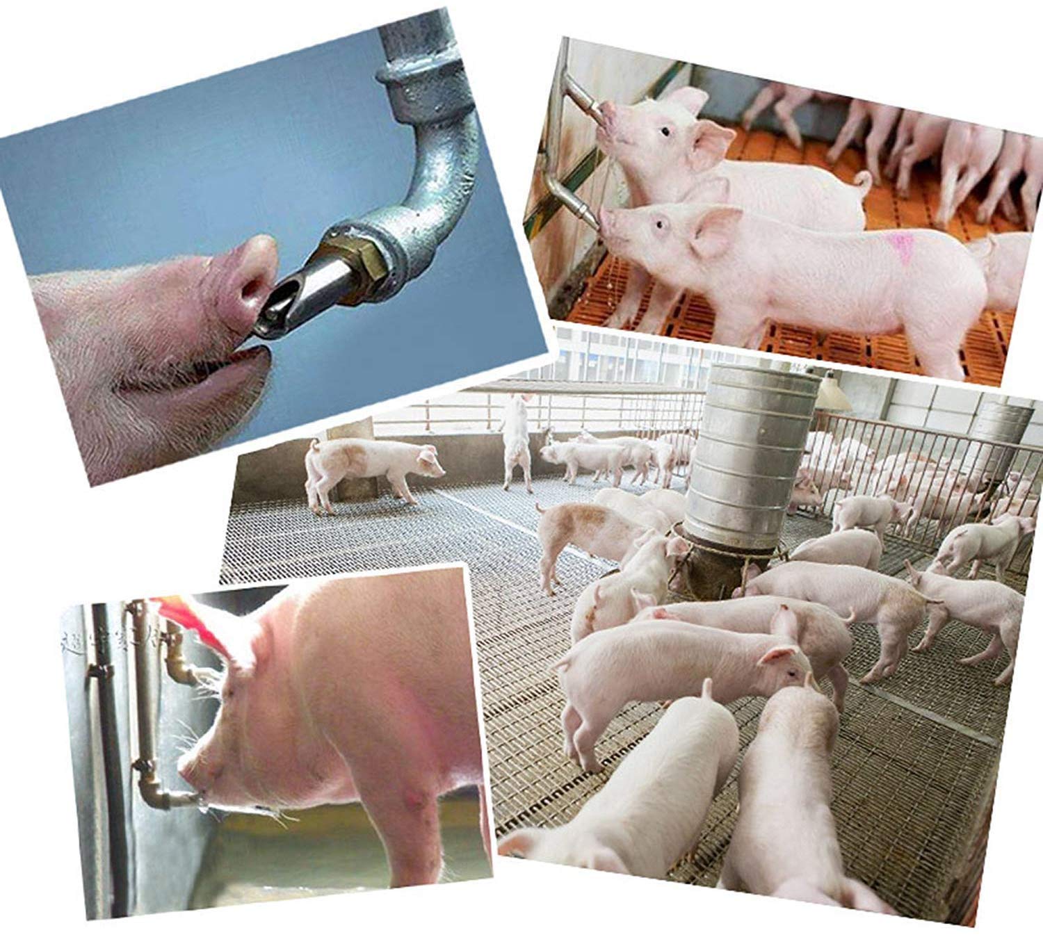 Golden Pearl 63mm length fits compact poultry and livestock water stations.