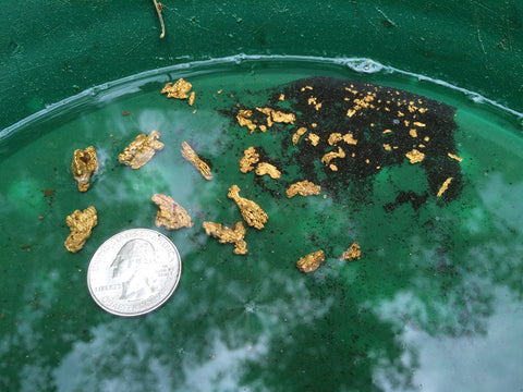 Goldn Paydirt Paydirt Concentrate finds include nuggets, flakes, and fines for versatile prospecting.