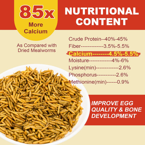 GOLDWORMS 85x calcium infographic highlighting eggshell support potential.