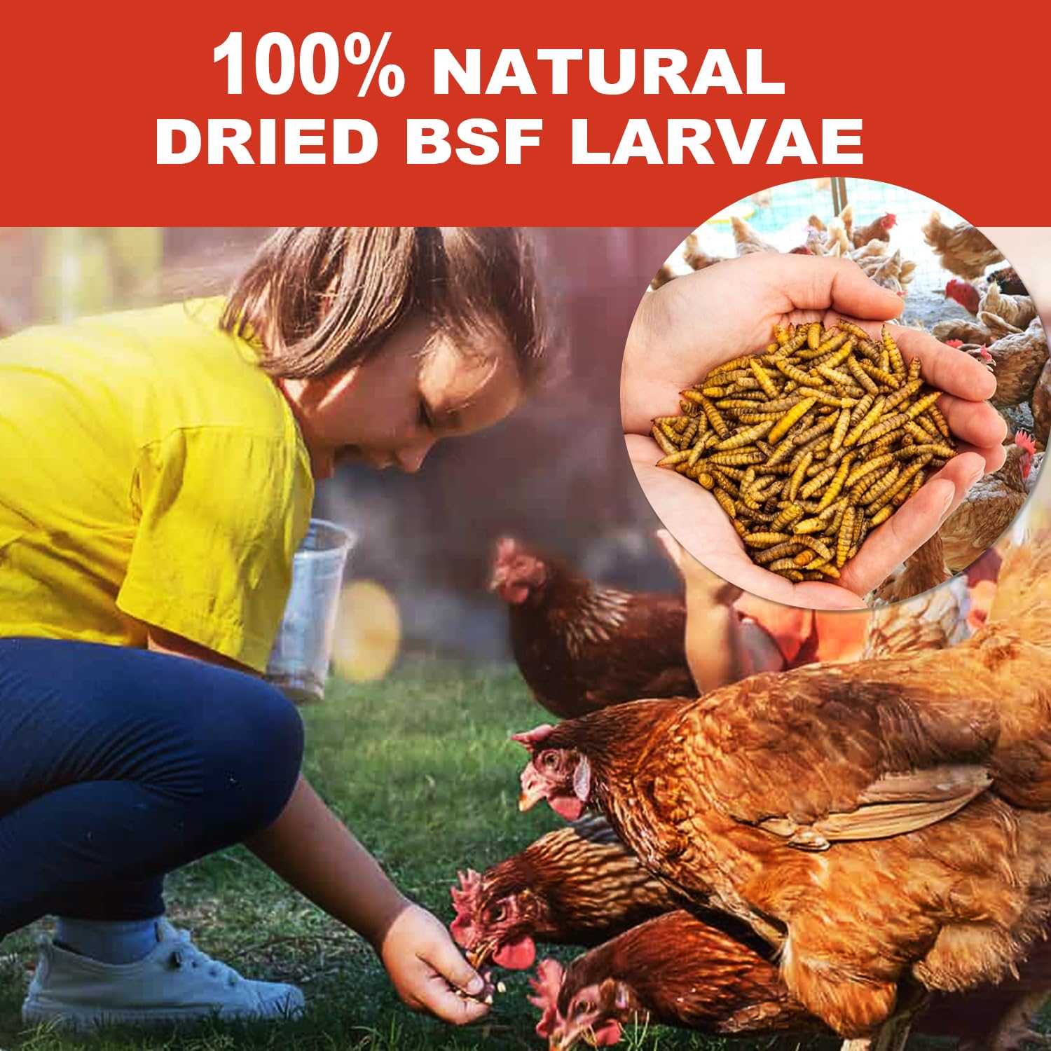 Sustainable, waste-to-feed production process used for GOLDWORMS larvae.