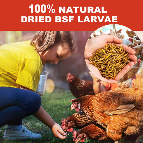 Sustainable, waste-to-feed production process used for GOLDWORMS larvae.