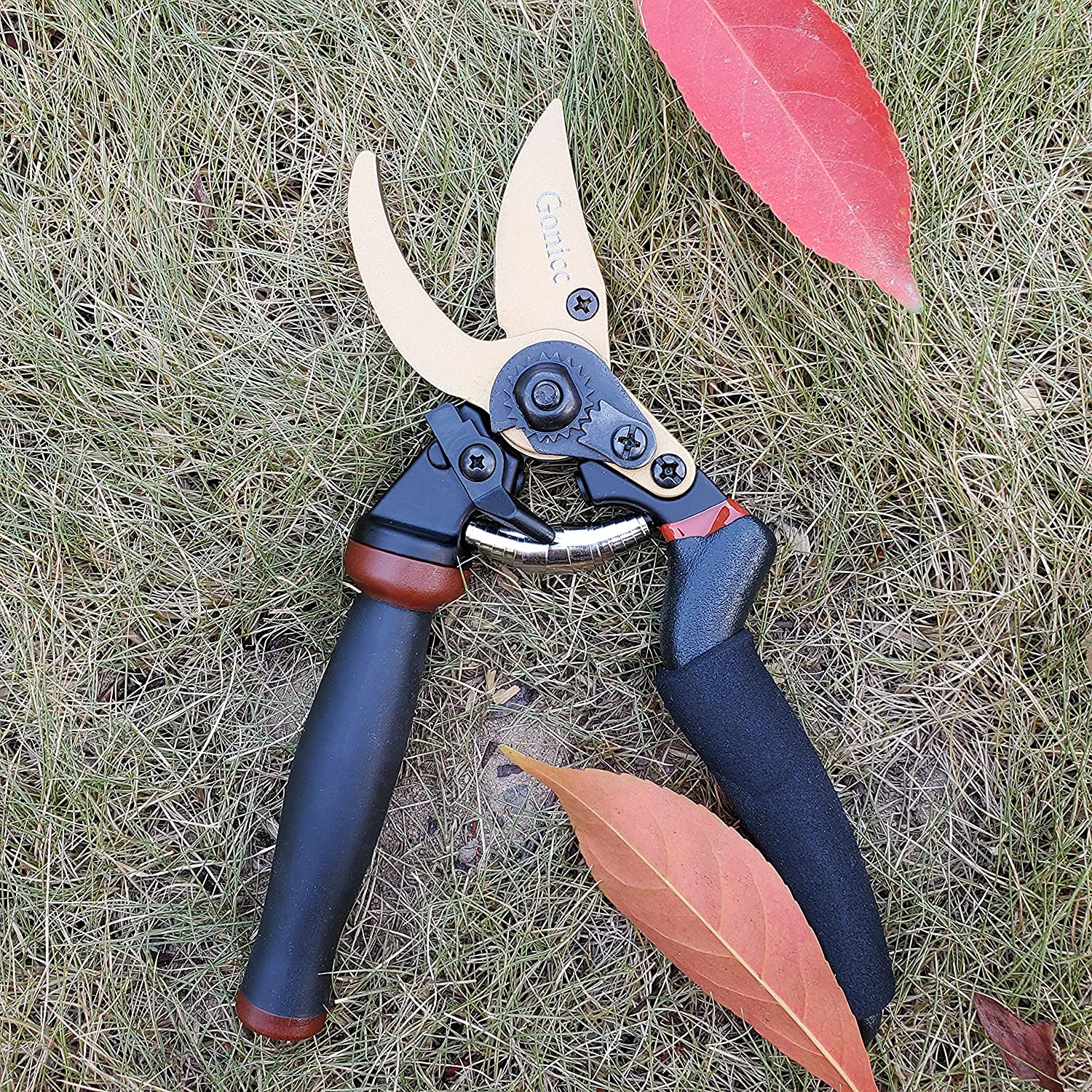 Gonicc 3/4-inch branch cut in action demonstrates pruning capability