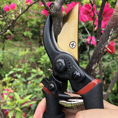 Gonicc blade with anti-rust coating to enhance longevity and rust resistance.