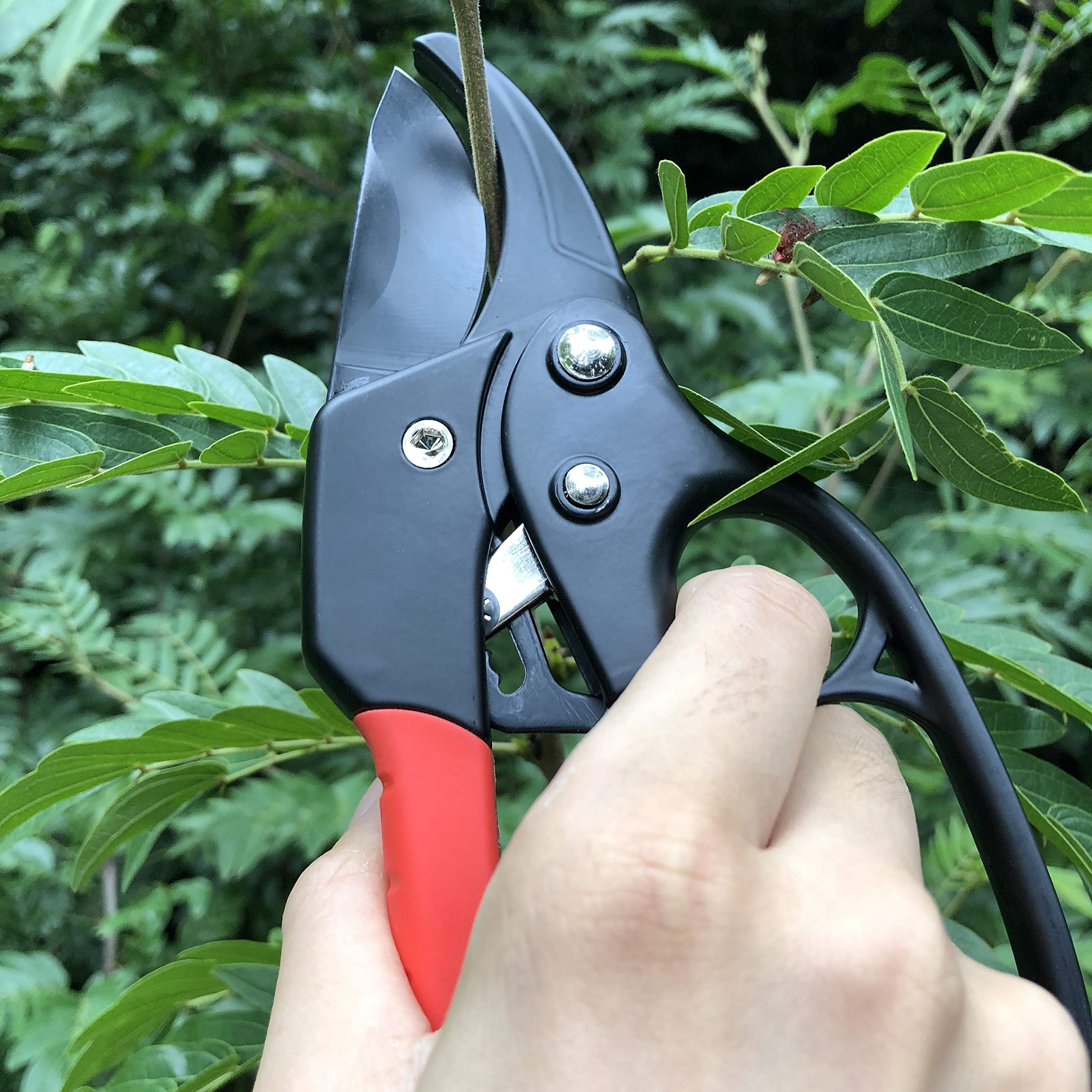 Gonicc chrome vanadium steel handles provide long-lasting durability