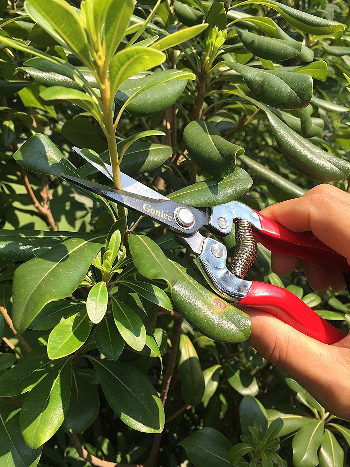 Gonicc flower arranging snips delivering clean cuts for bouquets.