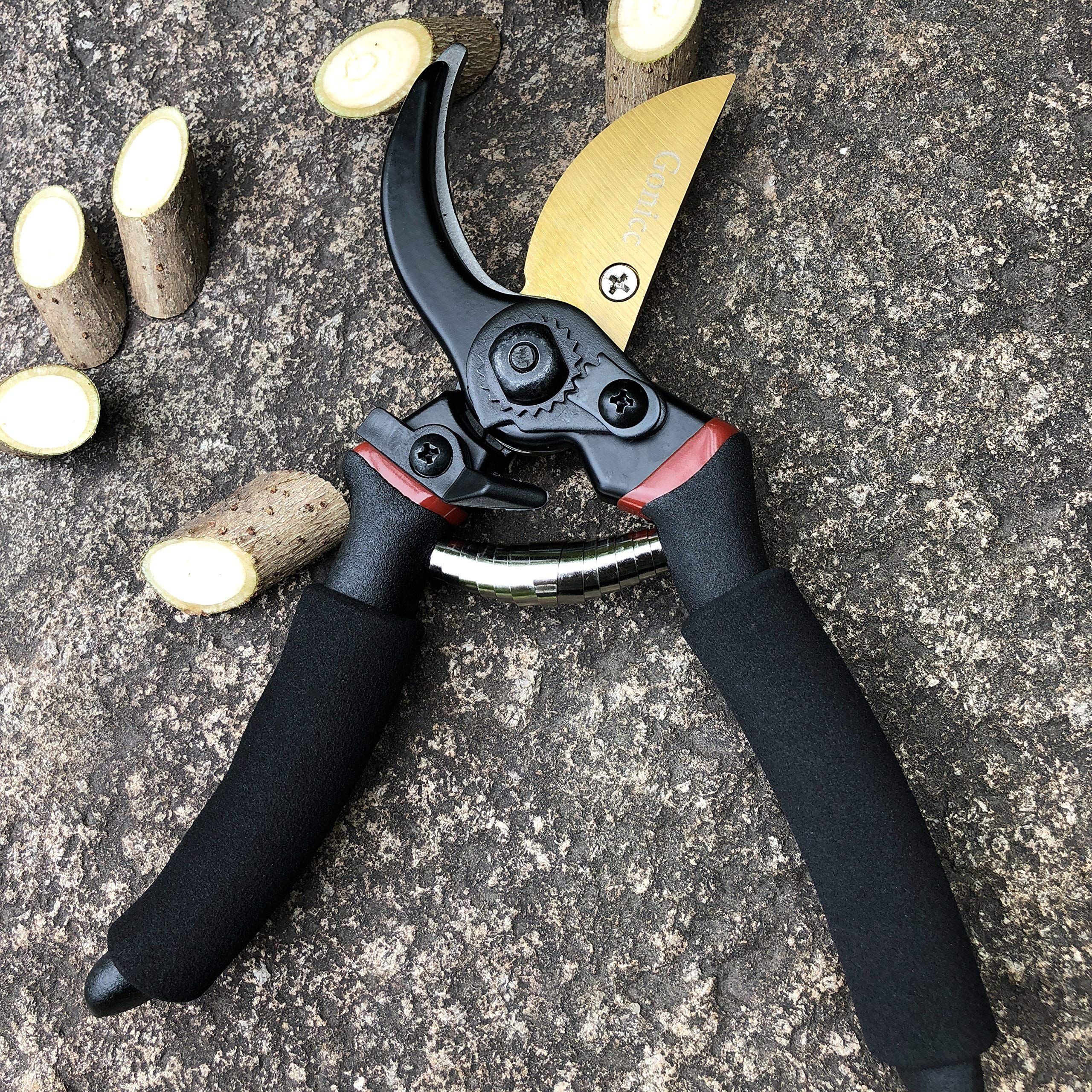 Gonicc pruning in a garden scene illustrating easy, precise trimming.