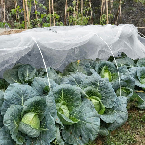 GonLei garden netting enables water through while guarding plants.
