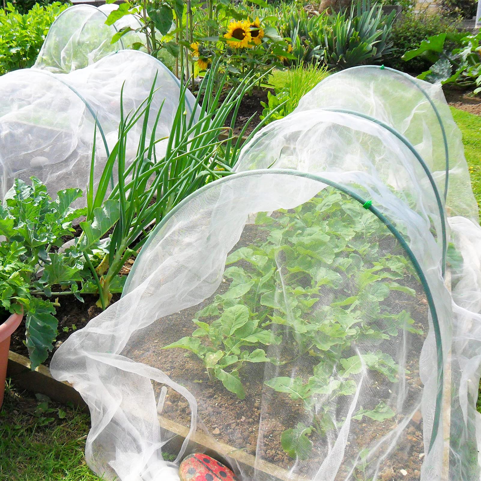 GonLei cut-to-size netting for irregular plots.