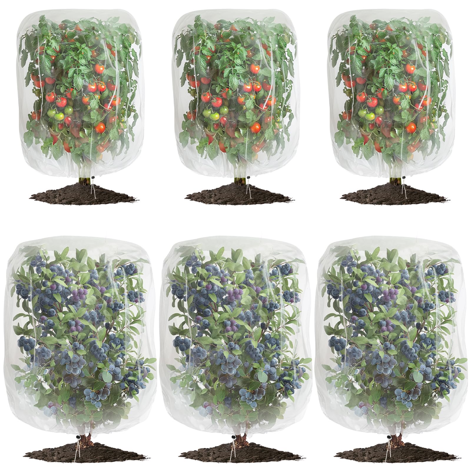 GonLei garden netting 6-pack protects fruit from birds and pests.