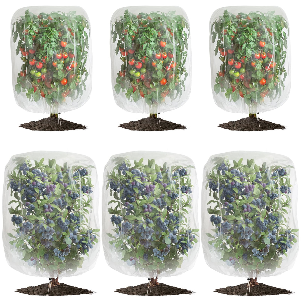GonLei garden netting 6-pack protects fruit from birds and pests.