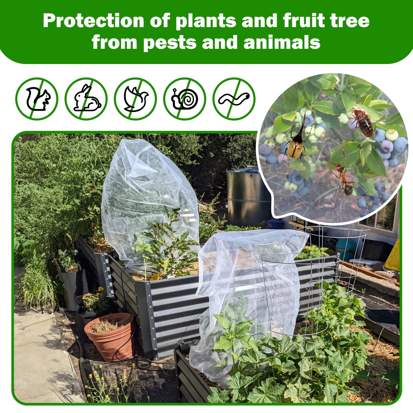 GonLei insect bird squirrel barrier protecting crops
