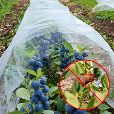 GonLei raised-bed netting showing extended coverage for crops.