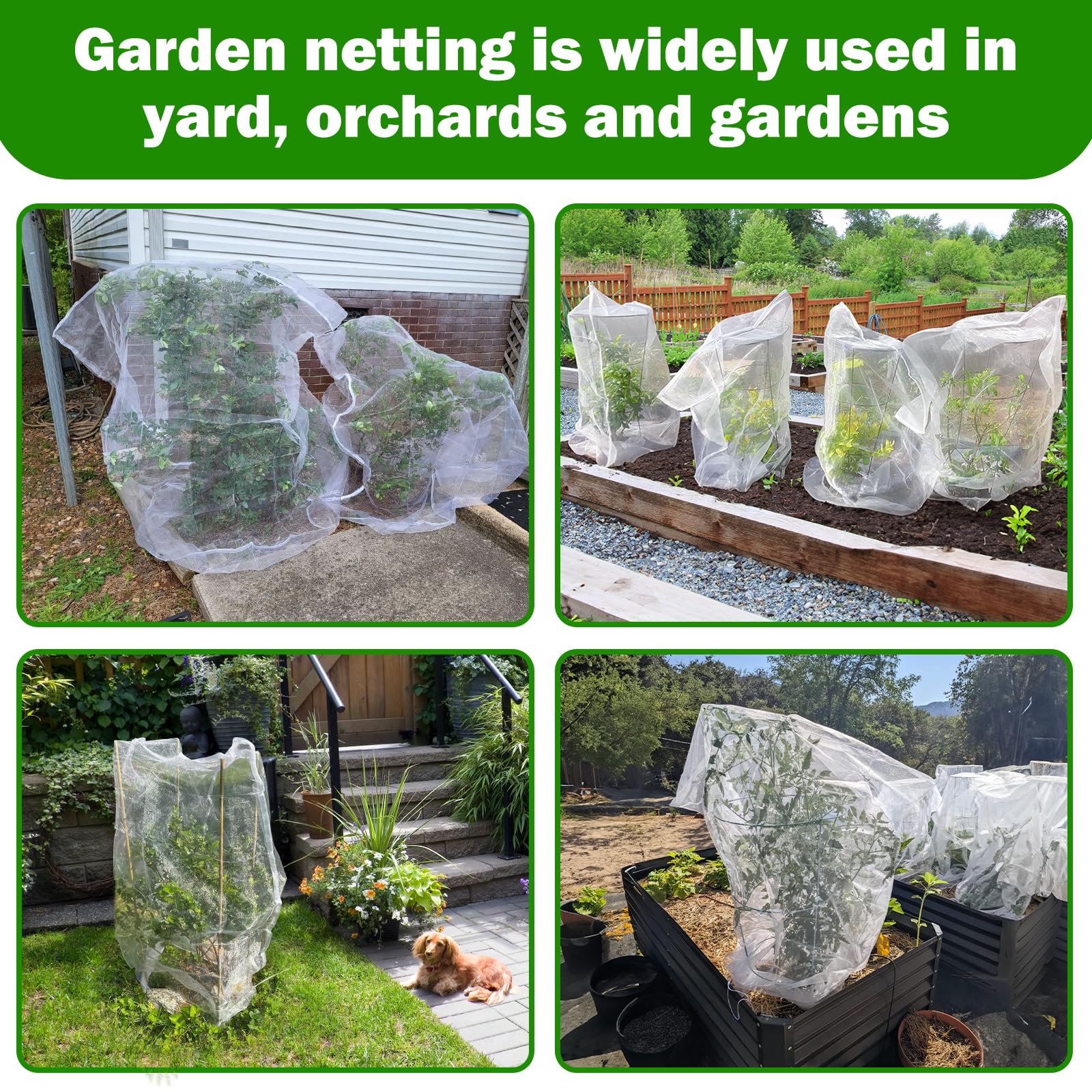 GonLei small-animal-barrier-net deters squirrels from pots and planters.