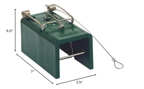 GONZO professional-grade trap for efficient placement in mole and gopher tunnels.