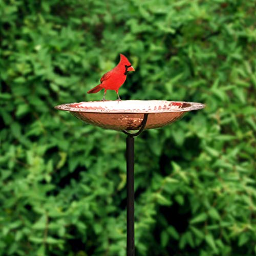 Good Directions easy setup bird bath on garden stake in yard