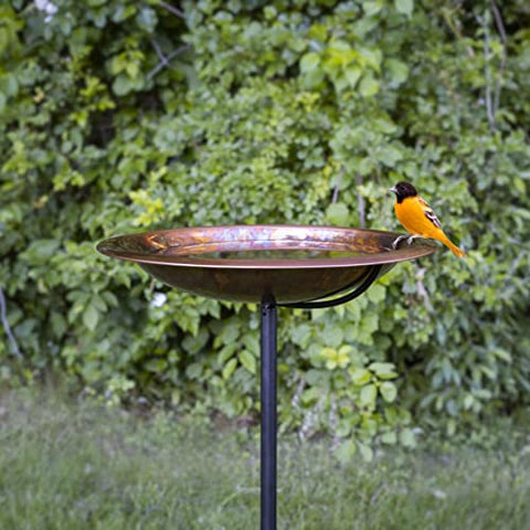 Good Directions outdoor-ready bird bath adds a refined yard focal point.
