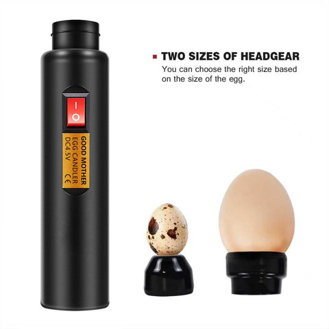 GOOD MOTHER egg candler shell illumination reveals embryo detail without heat damage